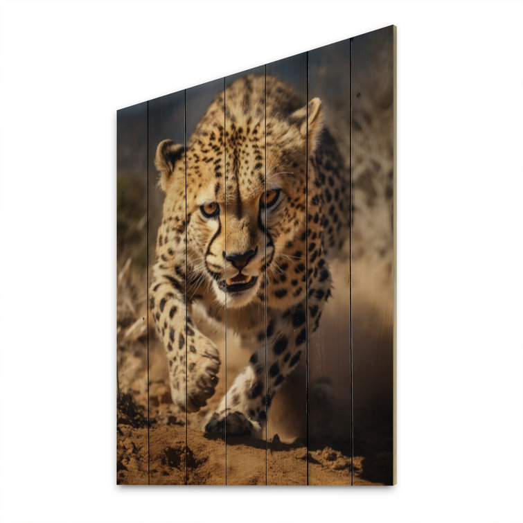 Latitude Run® Dangerous Cheetah Portrait On Wood Print - Wayfair Canada